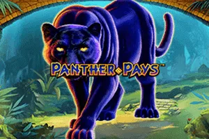 Playtech : Panther Pays - STAYSLOT168