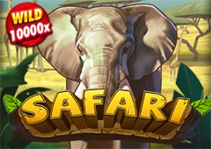 AFB : Safari - STAYSLOT168