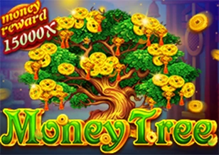 AFB : Pohon Duit - STAYSLOT168